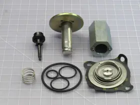 T237187 Asco 302348 Rebuild Kit