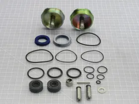 T239390 Asco 302749 Rebuild Kit