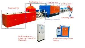 12-720-300 Foshan Huibaisheng Hcs Continuous Gas Shielded Sintering Furnace