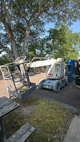Ch30kbn Marklift Articulating Telescopic Boom Lift Needs Batteries