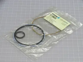 100-pzv100 Schunk 303452 Dsa Pzn Seal Kit Bh0017