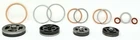 Z102 Champion Complete Valve Kit With Gaskets For Pump 22NN77 R15A / New. Price: $160.36.
