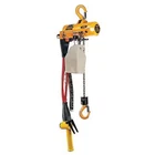 Harrington AH250P-15 Air Chain Hoist, Lb. Cap., Ft. Lift New. Price: $4664.99.