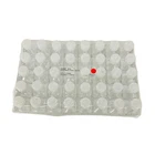 Thermo Nalgene 342020-0030 30ML Petg Media Bottles Sterile W/ Closure, 40 Pcs New. Price: $141.96.