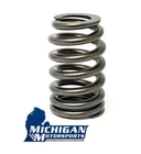 Single Michigan Motorsports .550" Lift Ls Beehive Valve Spring Fits 4.8 5.3 6.0L New. Price: $14.99.