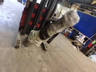 Makino SNC106-A30 Cnc Vertical Machining Center Spare Spindle A95-231 Used. Price: $2500.00.