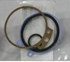 Schunk Dsa PZN+64-PZV64 Viton Seal Kit 303450 New. Price: $49.99.