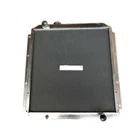 4365743 Radiator Fits Hitachi EX110-5 EX160-5 EX100-5 EX120-5 EX130-5 New. Price: $528.89.