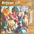 Brijean Macro Vinyl Lp Indie Electronic Record Used. Price: $175.99.
