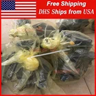 R910991846 AA10VSO18DFR1/31R-VPA12N00 Rexroth Plunger Pump Fast Delivery By Ups New. Price: $1427.58.