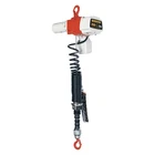 Harrington ED250DA-6 Electric Chain HOIST,250 LB.,6 Ft. 1VW83 New. Price: $5365.91.